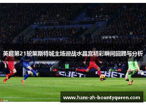 英超第21轮莱斯特城主场迎战水晶宫精彩瞬间回顾与分析
