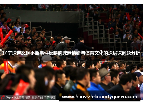 辽宁球迷怒砸水瓶事件反映的球迷情绪与体育文化的深层次问题分析