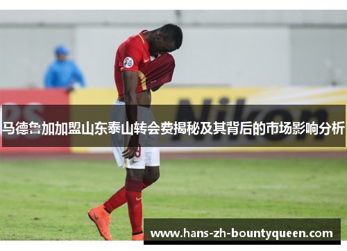 马德鲁加加盟山东泰山转会费揭秘及其背后的市场影响分析